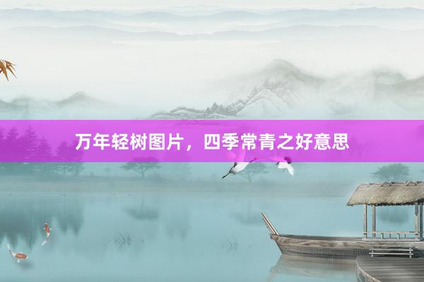 万年轻树图片，四季常青之好意思